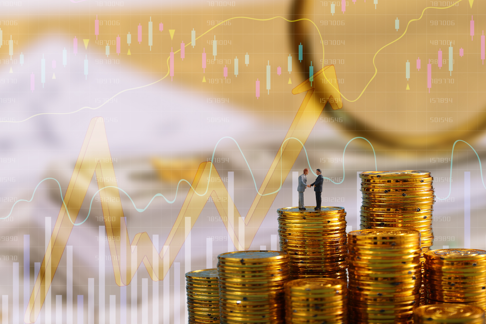 Robust Investment Strategy